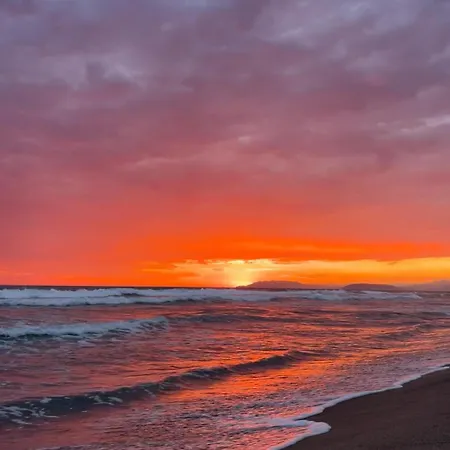 La Pineta * Viareggio