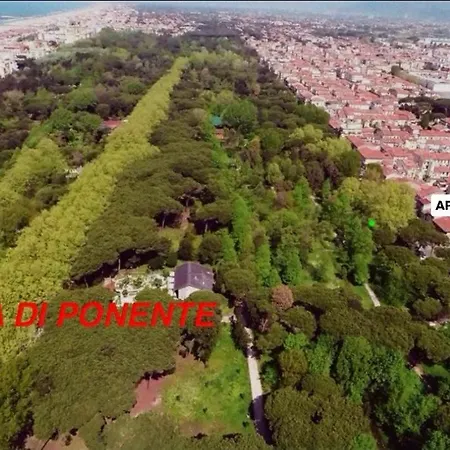 Apartamento La Pineta Viareggio